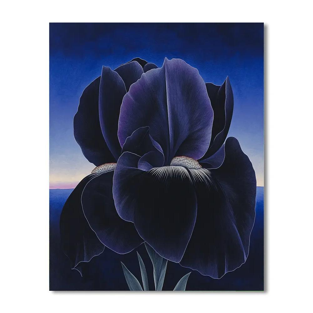 Georgia O’Keeffe Inspired Black Iris And Blue Night Sky Gradient Numbered painting kits