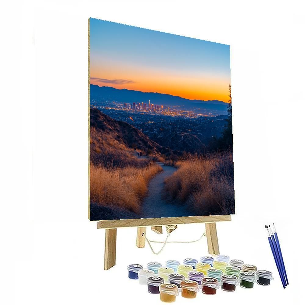 Skyline View From Griffith Observatory Park Los Angeles United States Numbered painting kits
