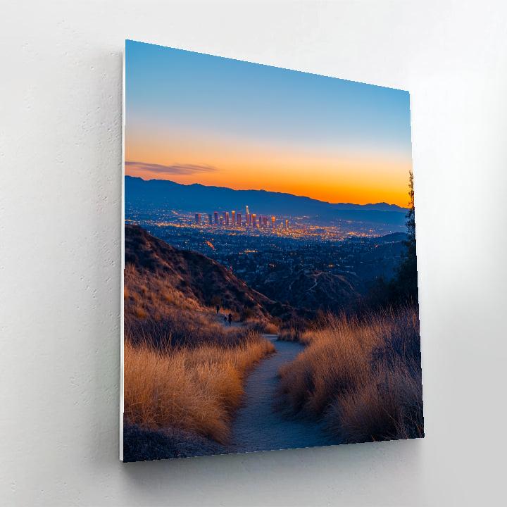 Skyline View From Griffith Observatory Park Los Angeles United States Numbered painting kits