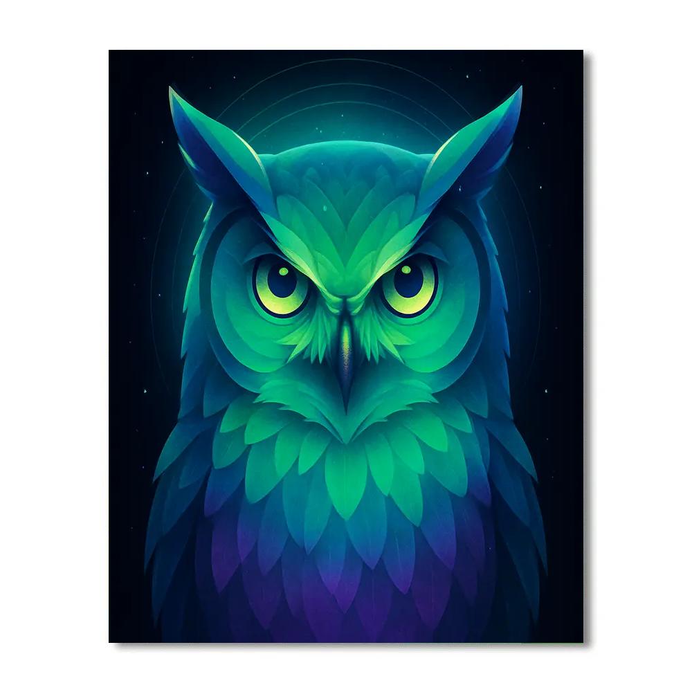 Aurora Crowned Owl Numbered painting kits