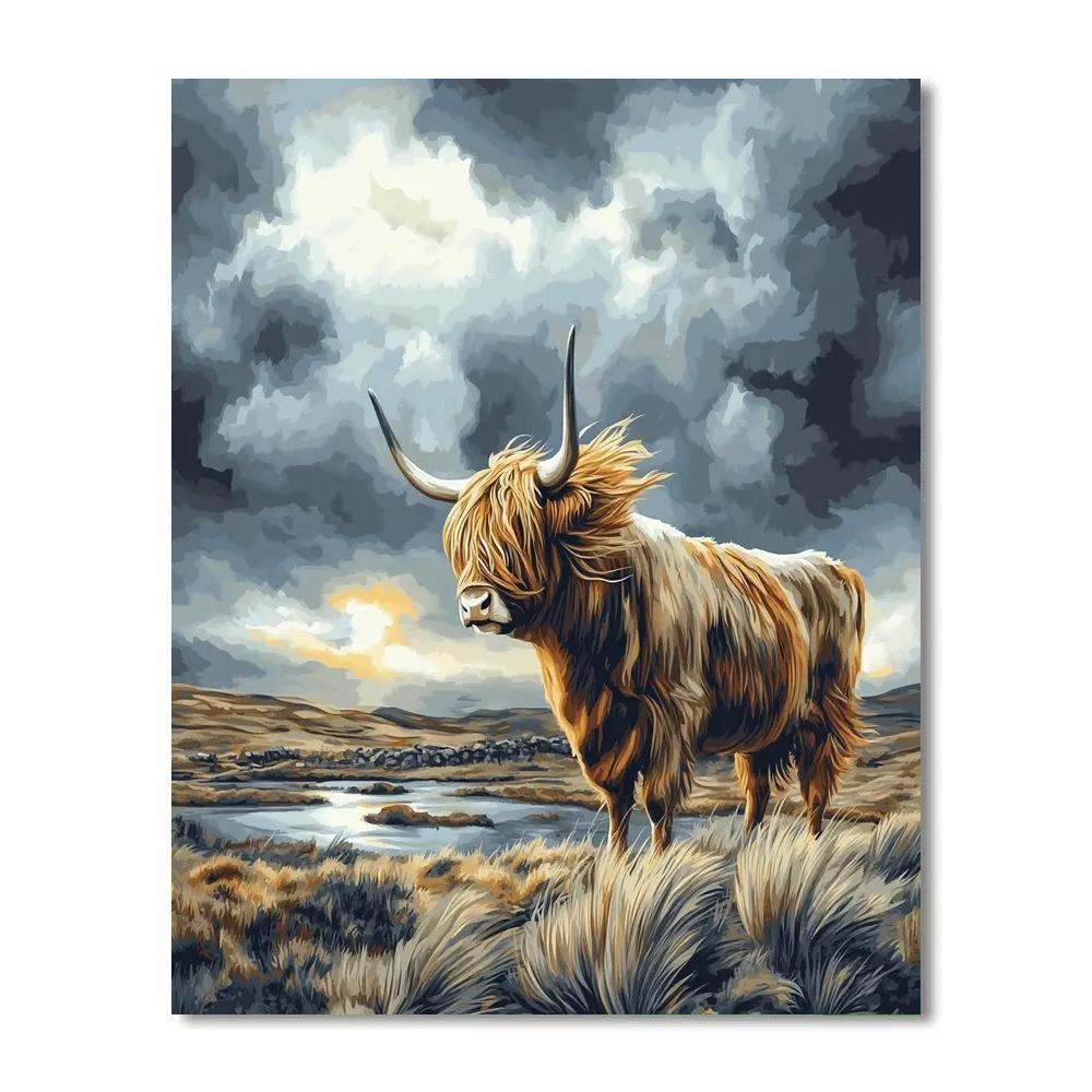 Stormwatch Highland Cow On The Moor paint by color