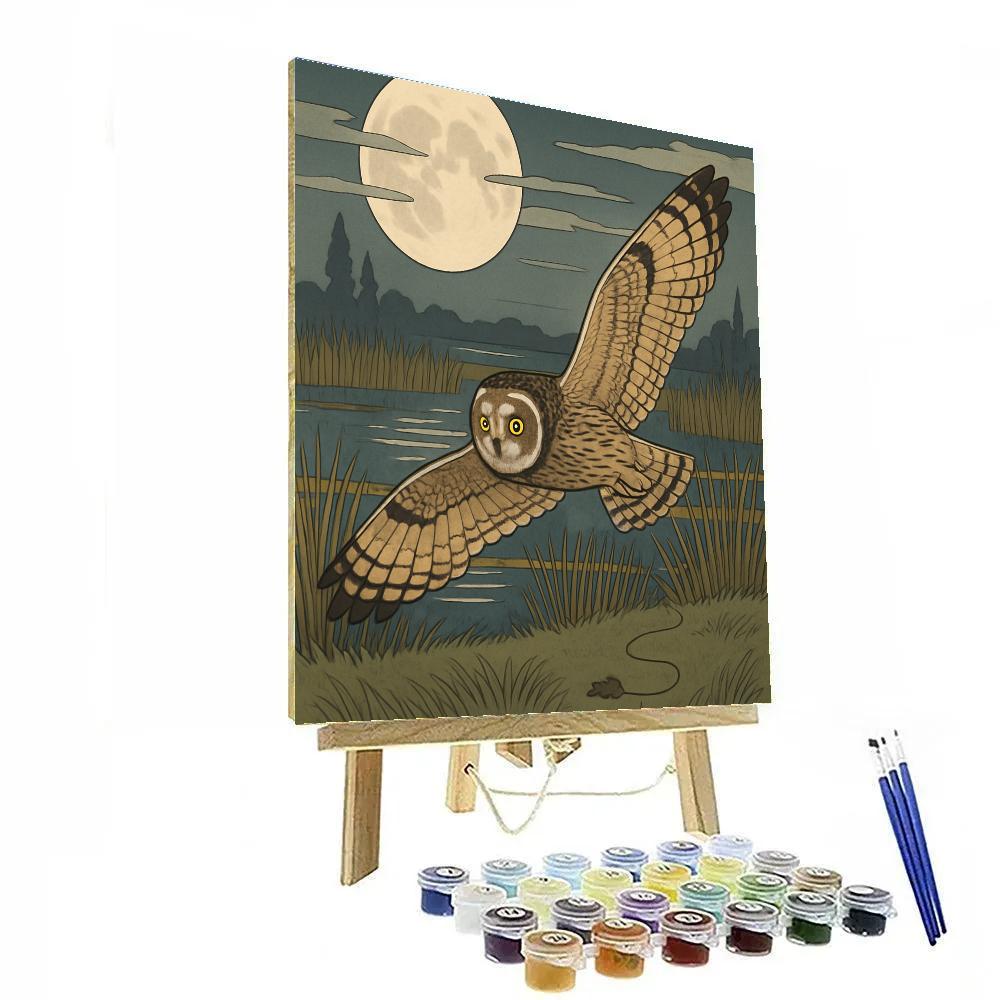 Silent Flight Over Owl Marsh paint by numbers