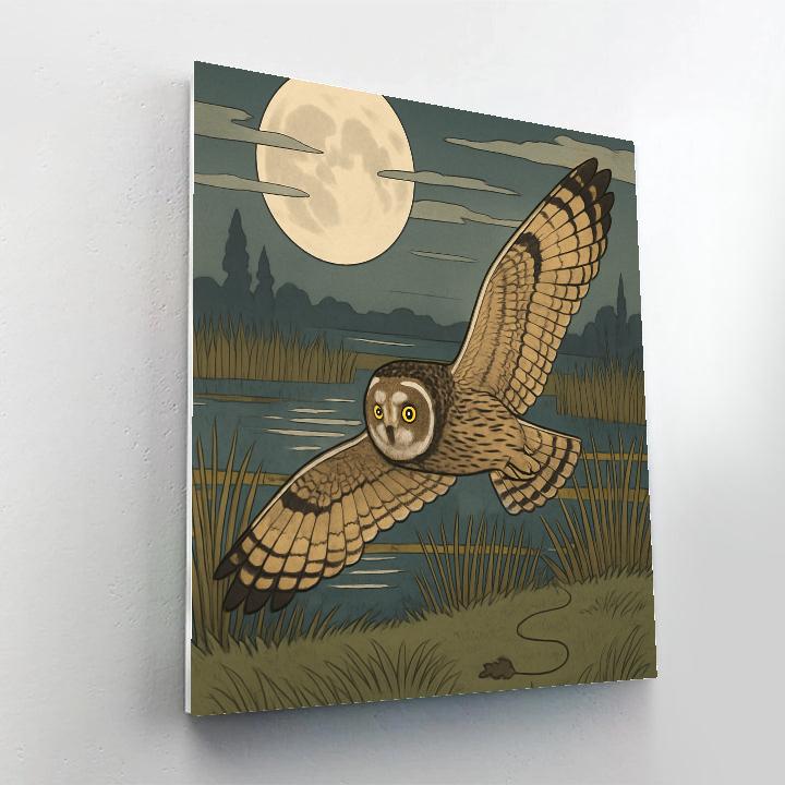 Silent Flight Over Owl Marsh paint by numbers