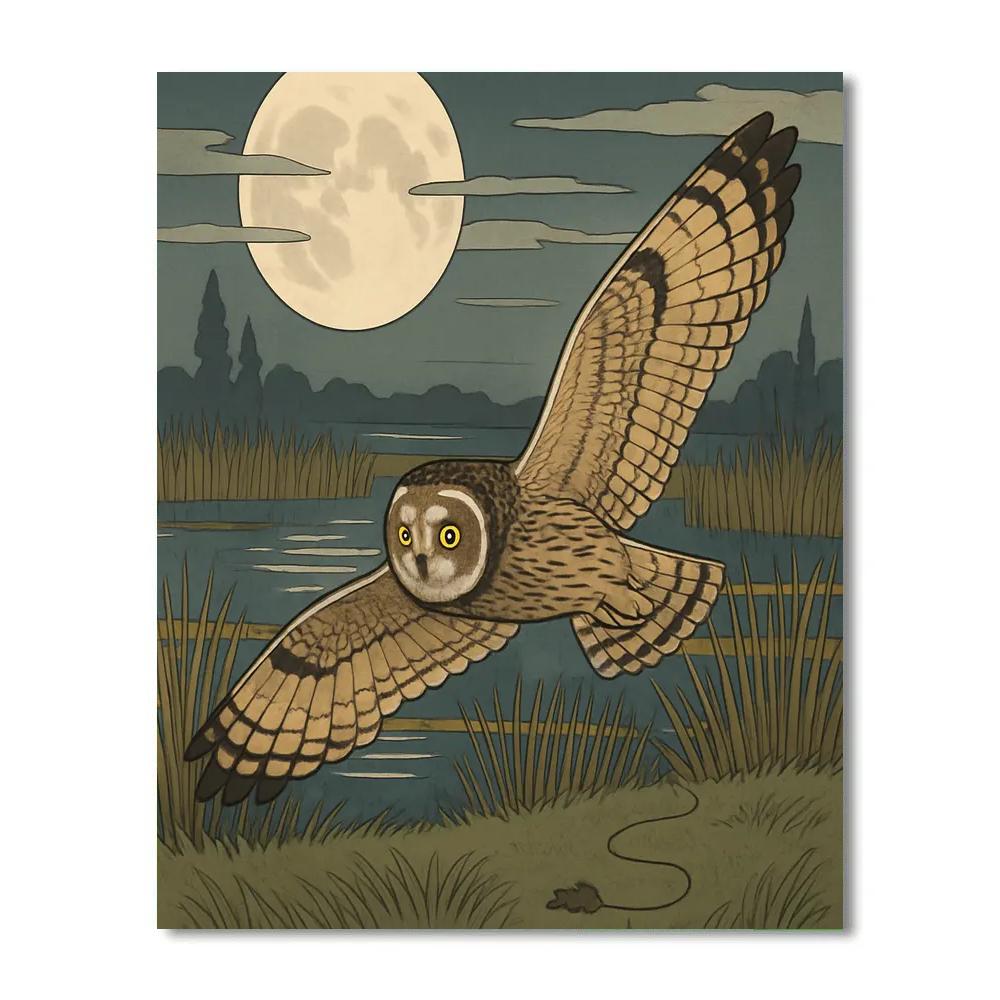 Silent Flight Over Owl Marsh paint by numbers