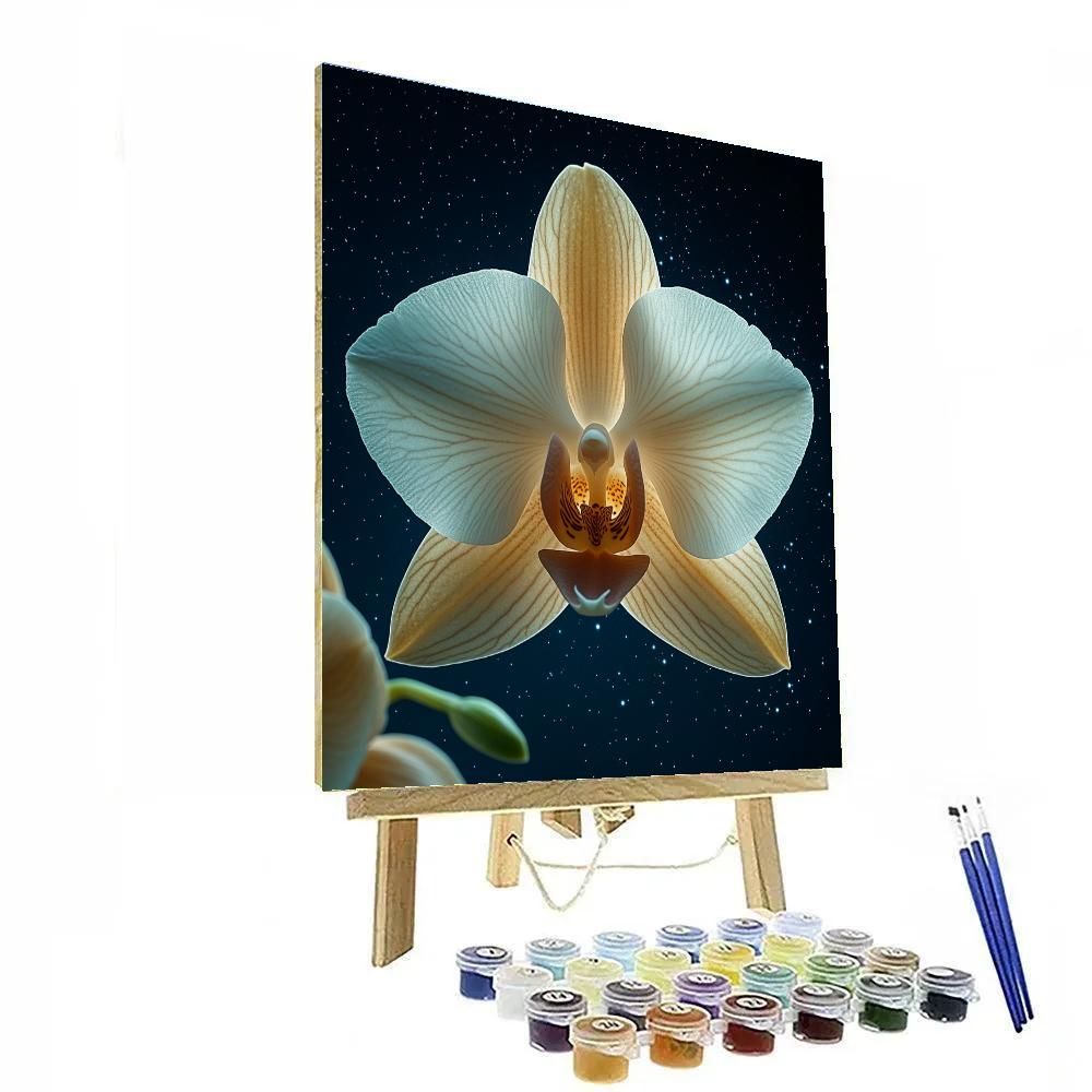 Georgia OKeeffe Inspired Cosmic Orchid Closeup painting number kit