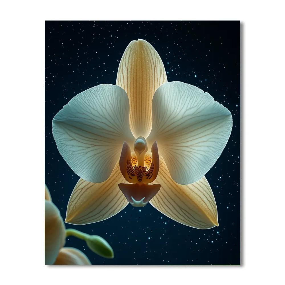 Georgia OKeeffe Inspired Cosmic Orchid Closeup painting number kit