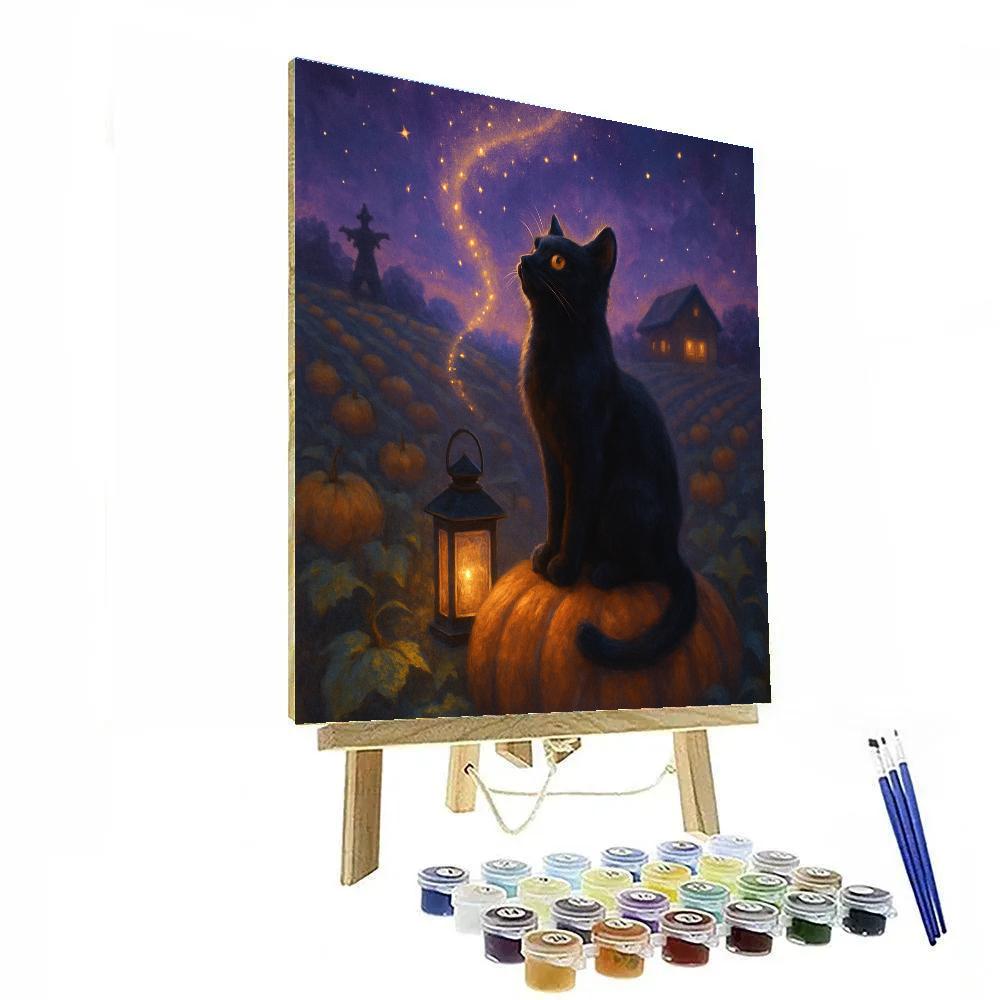 Black Cat Stargazer On A Pumpkin Patch Hill Painting by numbers kit