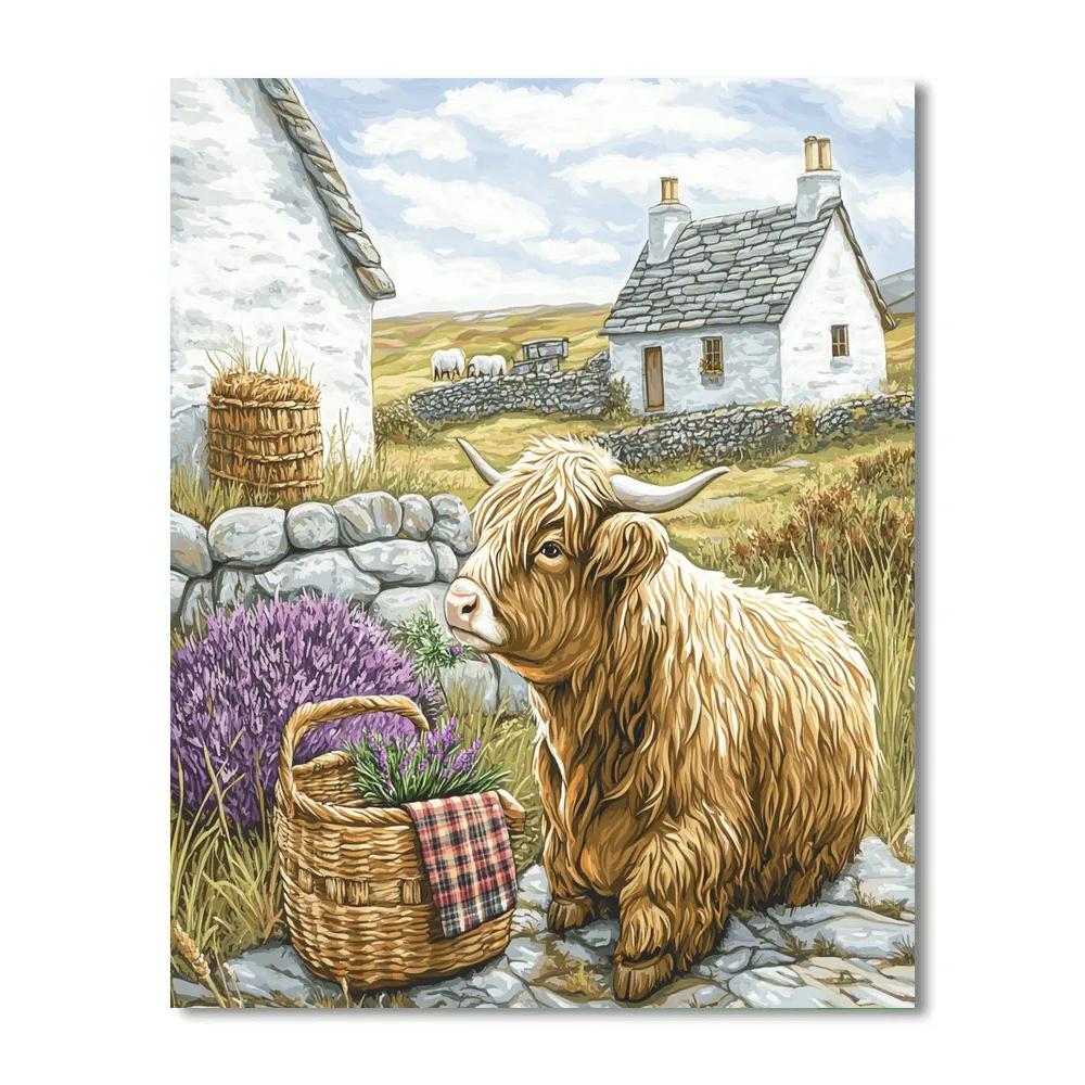 Crofthouse Picnic Highland Cow Paint by numbers kits