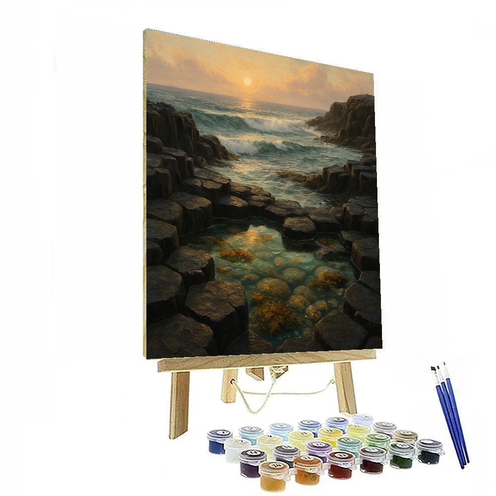 Sunlit Tide Pools On The Basalt Coast paint by numbers