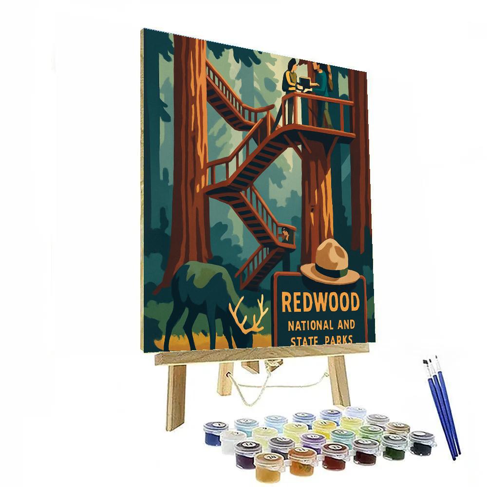 USA Redwood Skywalk Postcard paint by number