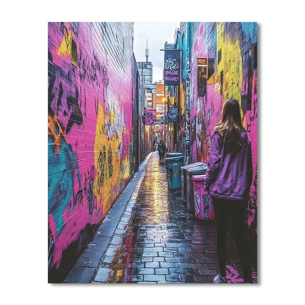 Street Art Canyon In Hosier Lane Melbourne Australia Number painting