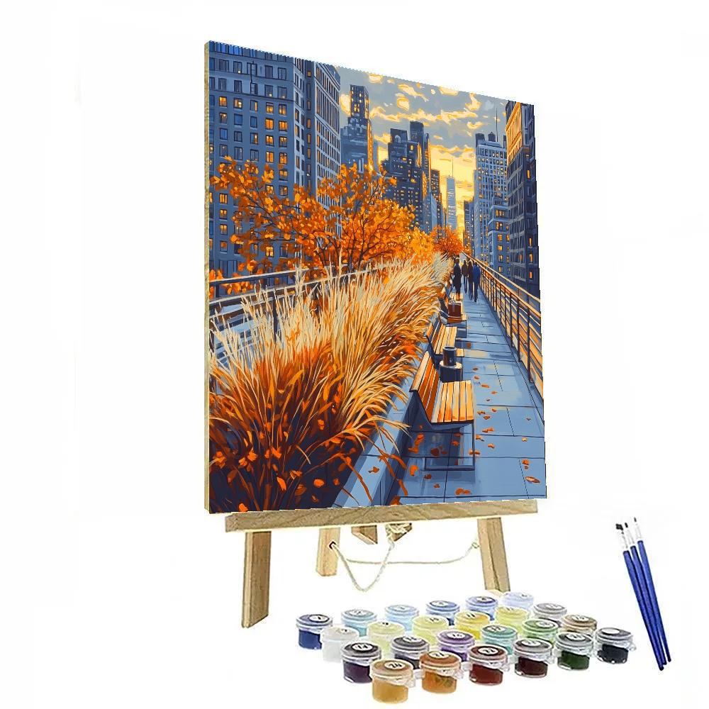 Golden Hour At The High Line Park New York City United States painting number kit