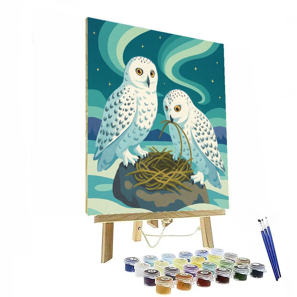 Aurora Nesting Birds Above The Tundra Paint by numbers art