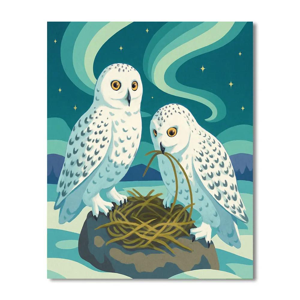 Aurora Nesting Birds Above The Tundra Paint by numbers art