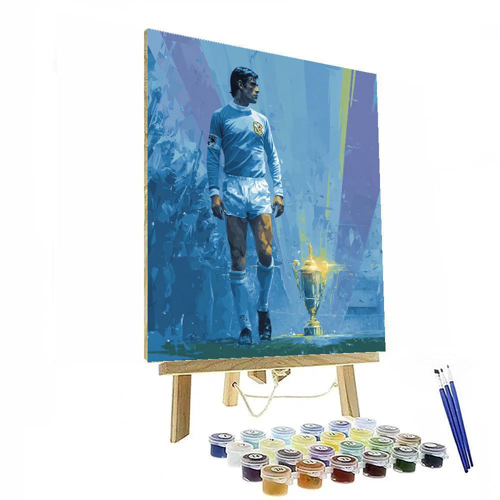 Scotland Fifa 2026 Mist Paint by numbers art