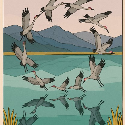 Mirror Lake Birds In Mid Migration Spiral Numbered painting kits