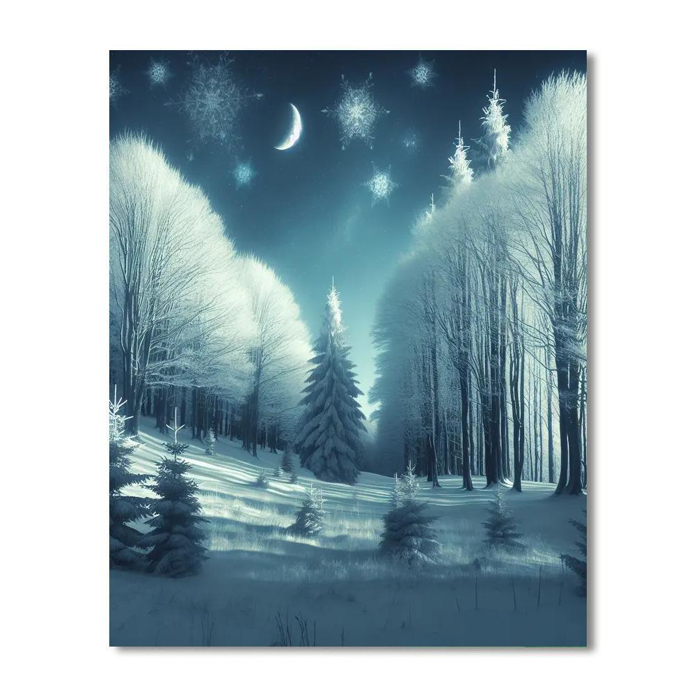Winter Night's Tranquility Paint By Number