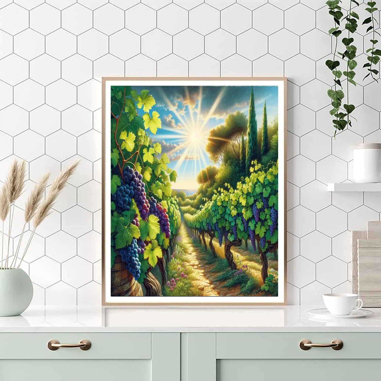 Lush Mediterranean Vineyard Paint By Numbers