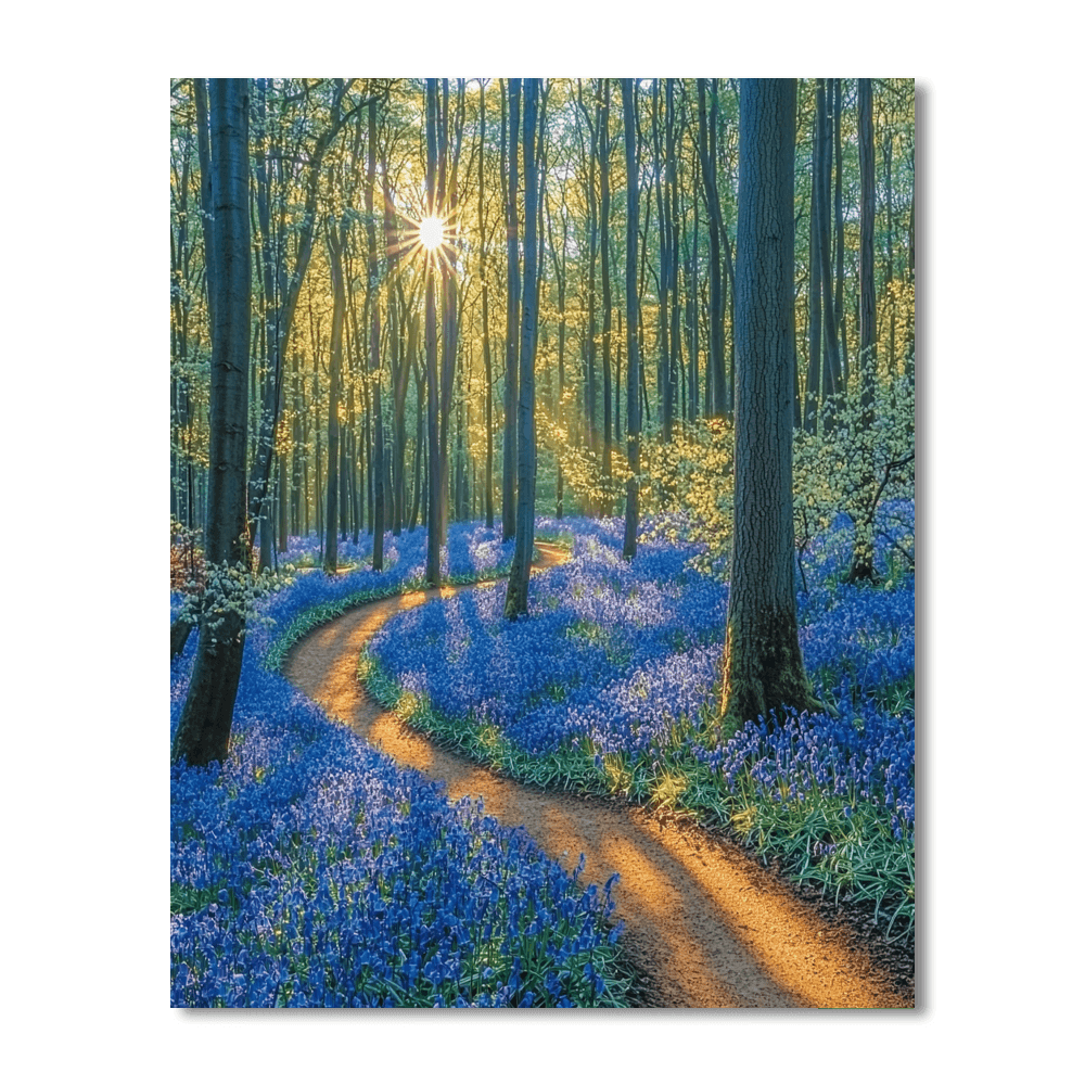 Hallerbos Forest Numbered Painting Kits