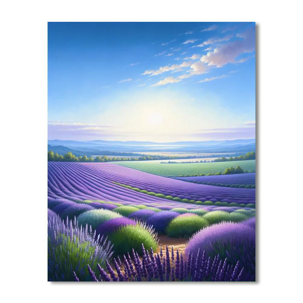 Lavender Calm Paint By Numbers Kits