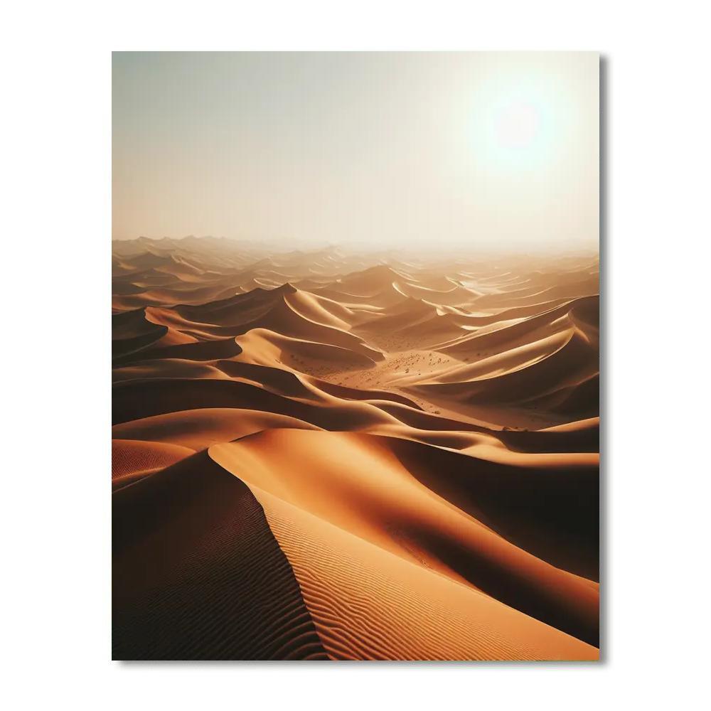 Desert Dune Mystery Paint By Numbers Kits