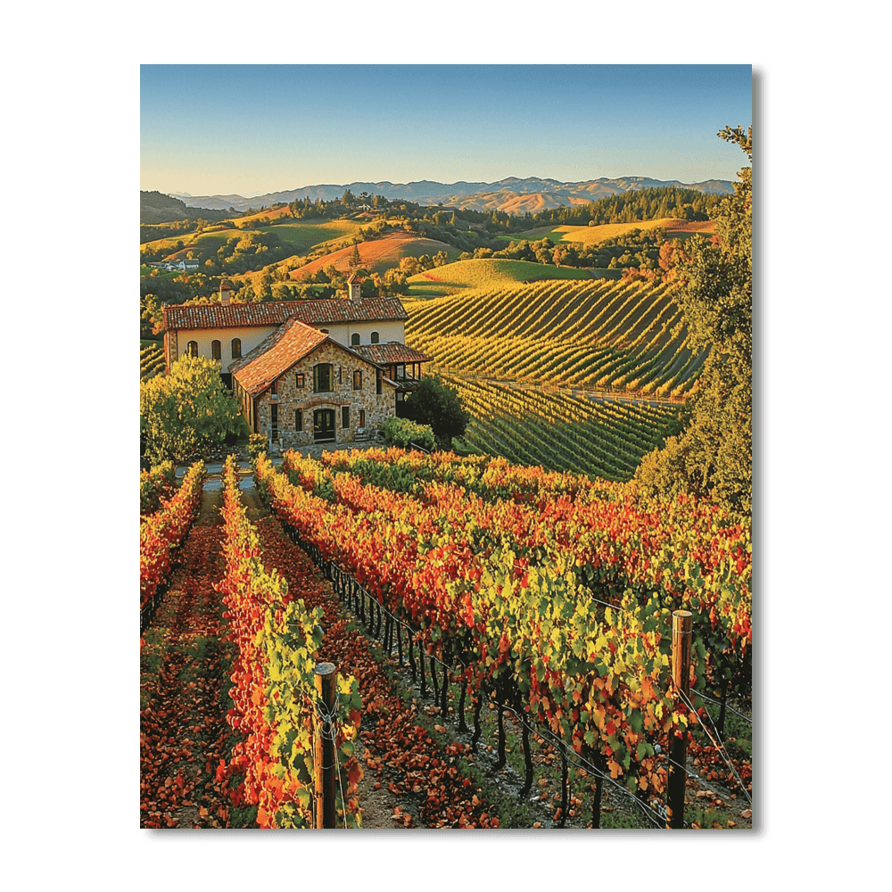 Napa Valley Vineyards - California, Usa Numbered Painting Kits
