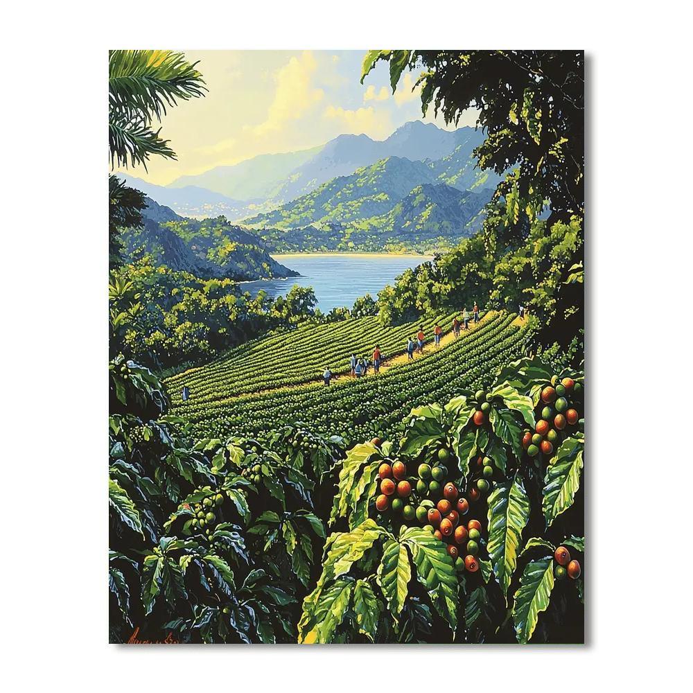 Kona Coffee Farm - Hawaii Paint By Number
