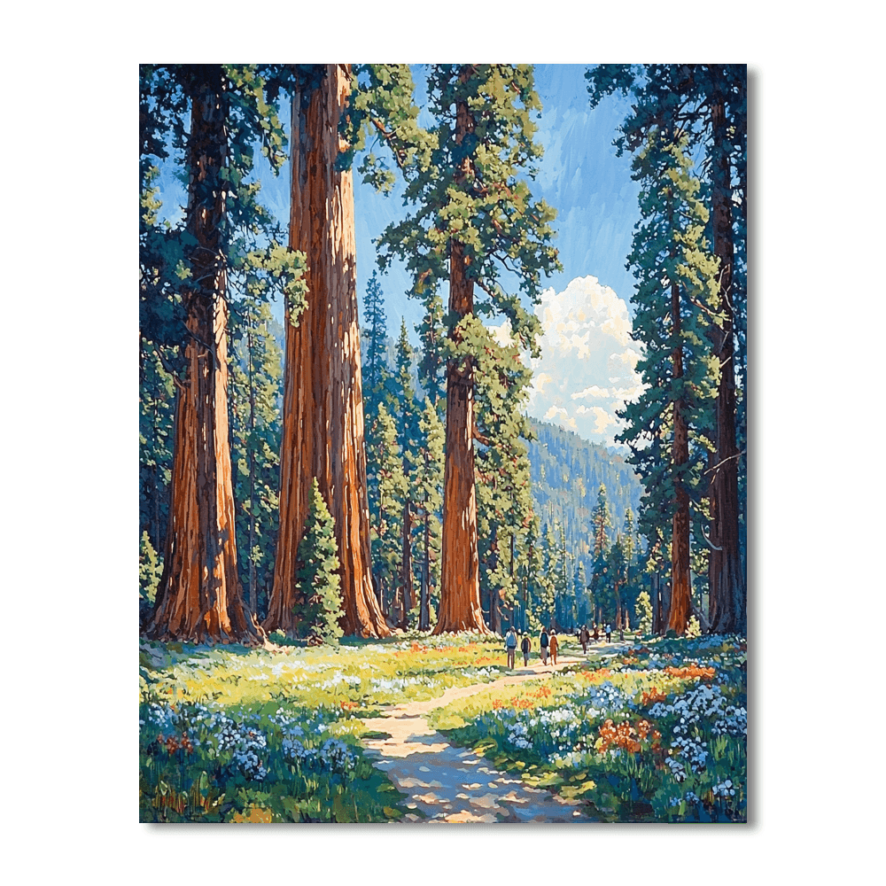 Sequoia National Park Paint By Numbers Kits