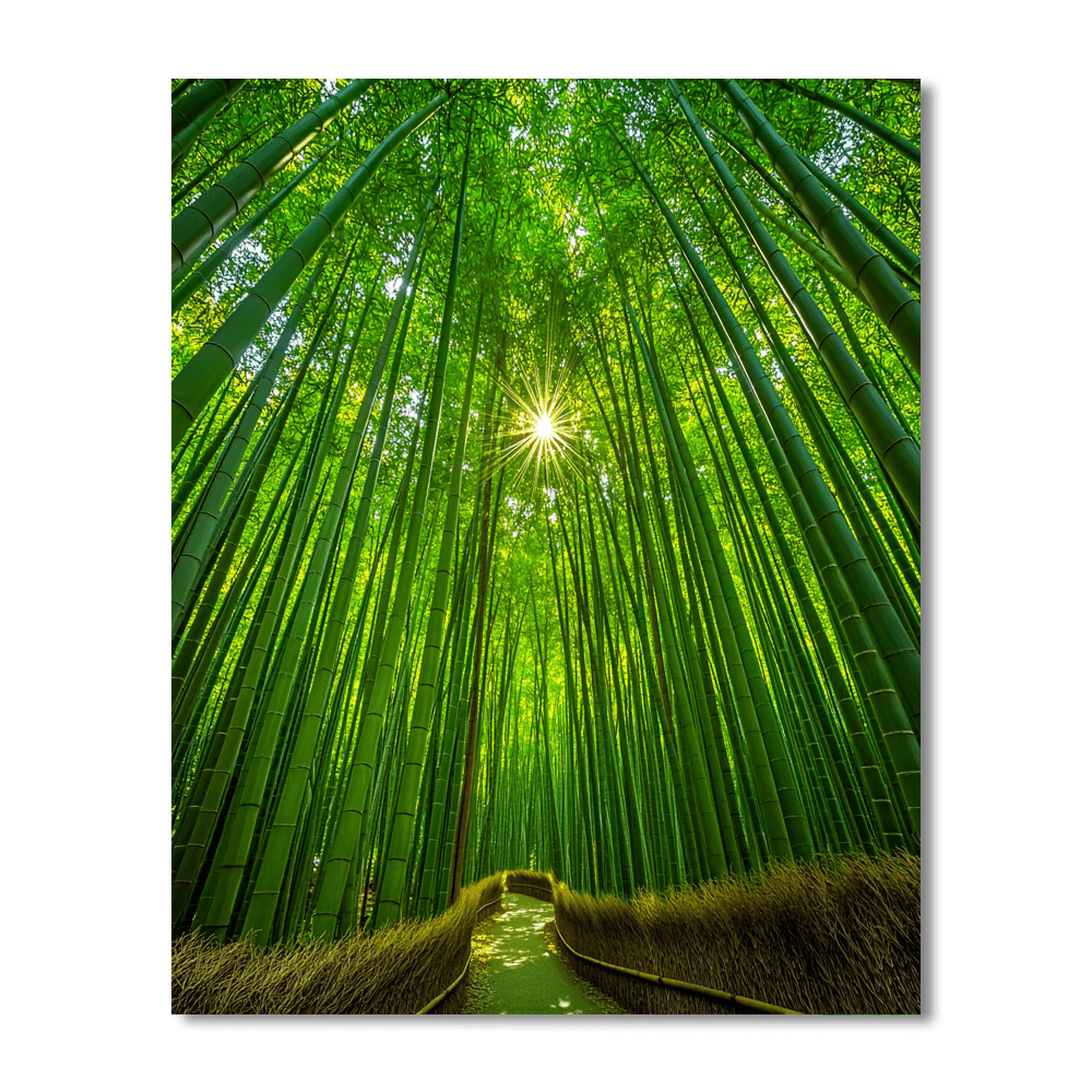 Bamboo Forest Of Arashiyama Numbered Painting Kits