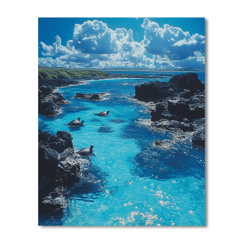 The Galapagos Islands Numbered Painting Kits