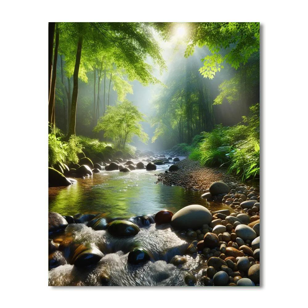 Quiet Forest Stream Paint By Number