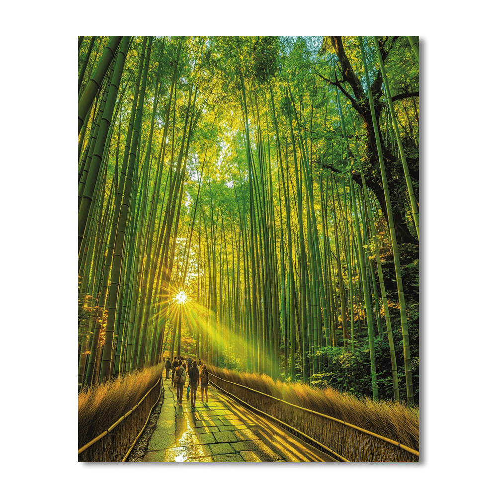 Arashiyama Bamboo Grove - Japan DIY Paint By Numbers