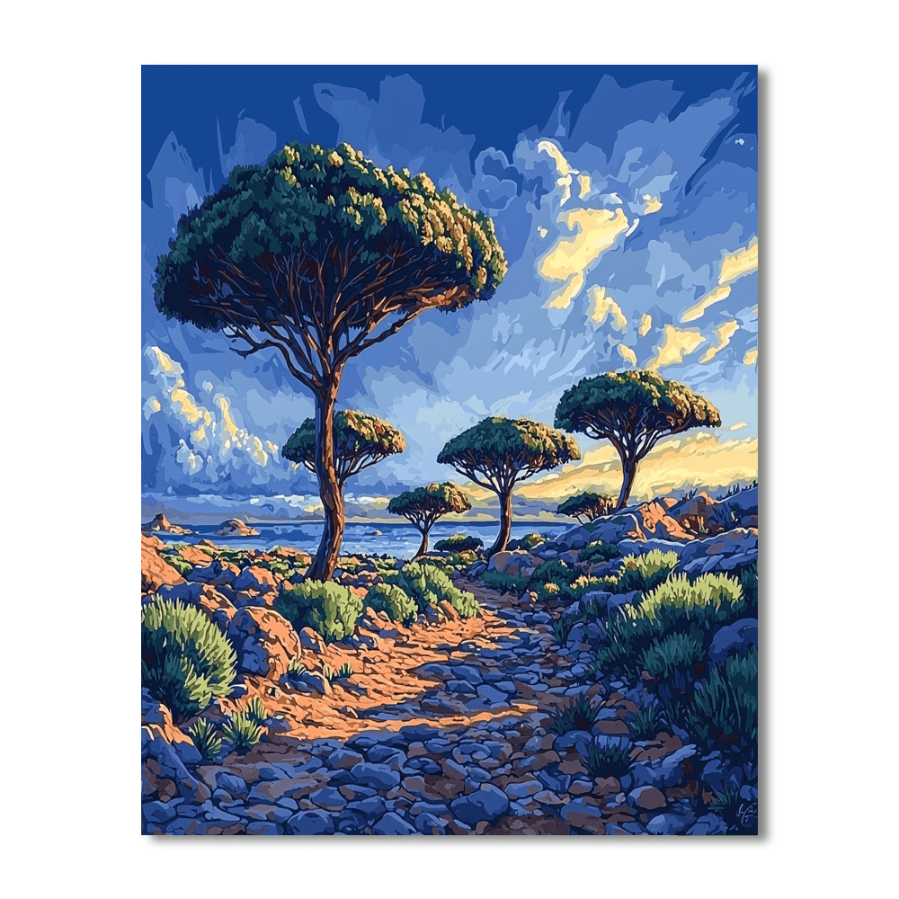Socotra Island - Yemen Numbered Painting Kits
