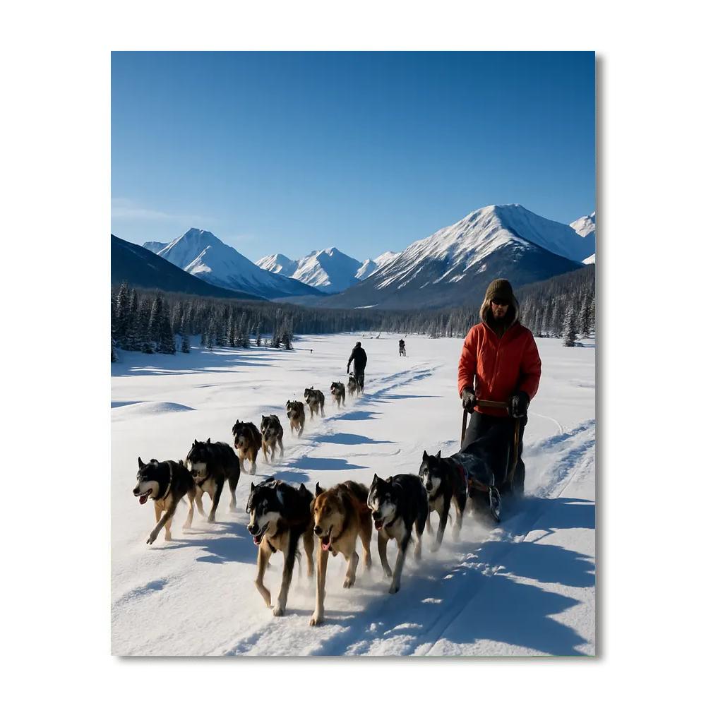 Yukon Quest - Whitehorse To Fairbanks Paint By Numbers Art