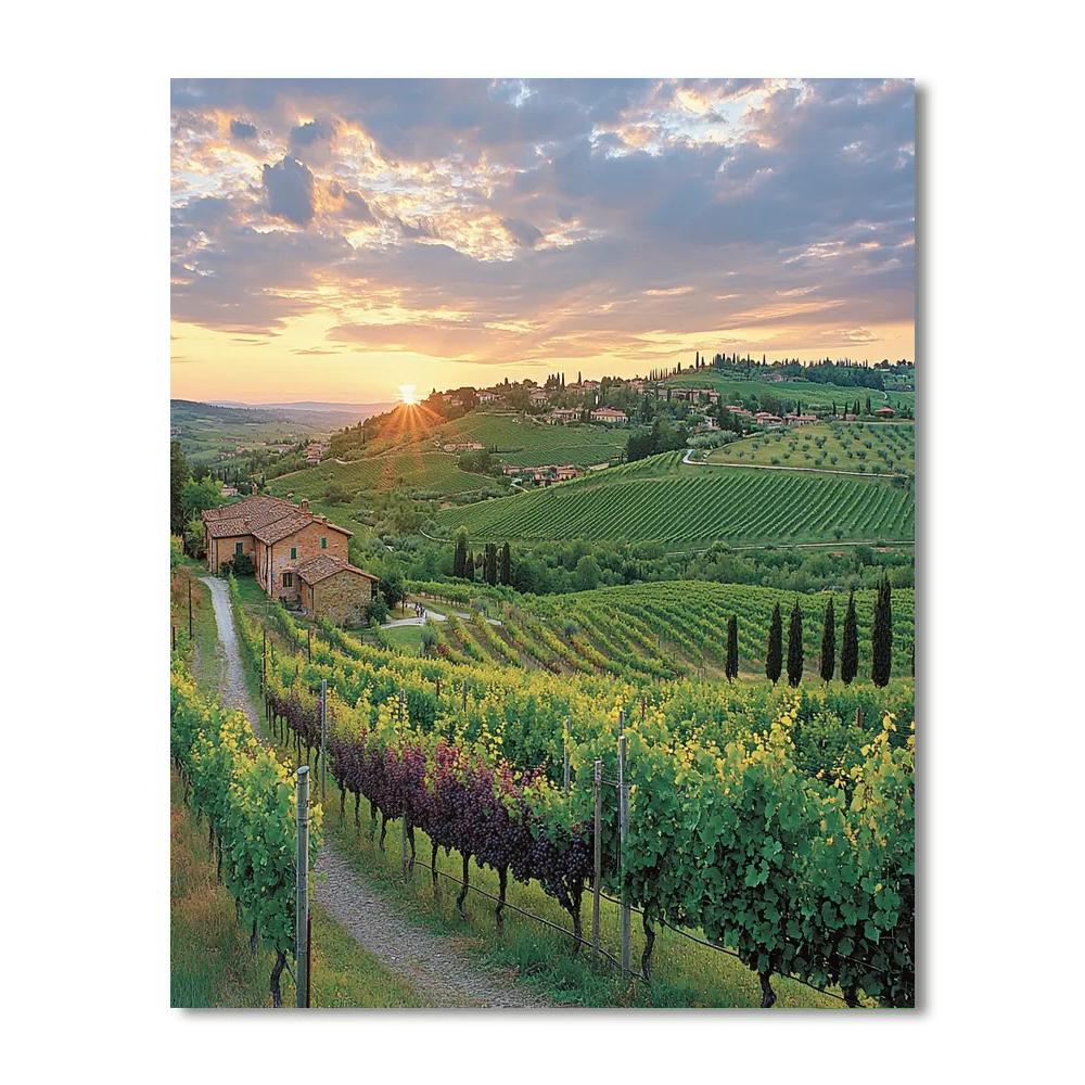 Tuscany's Vineyards Number Painting