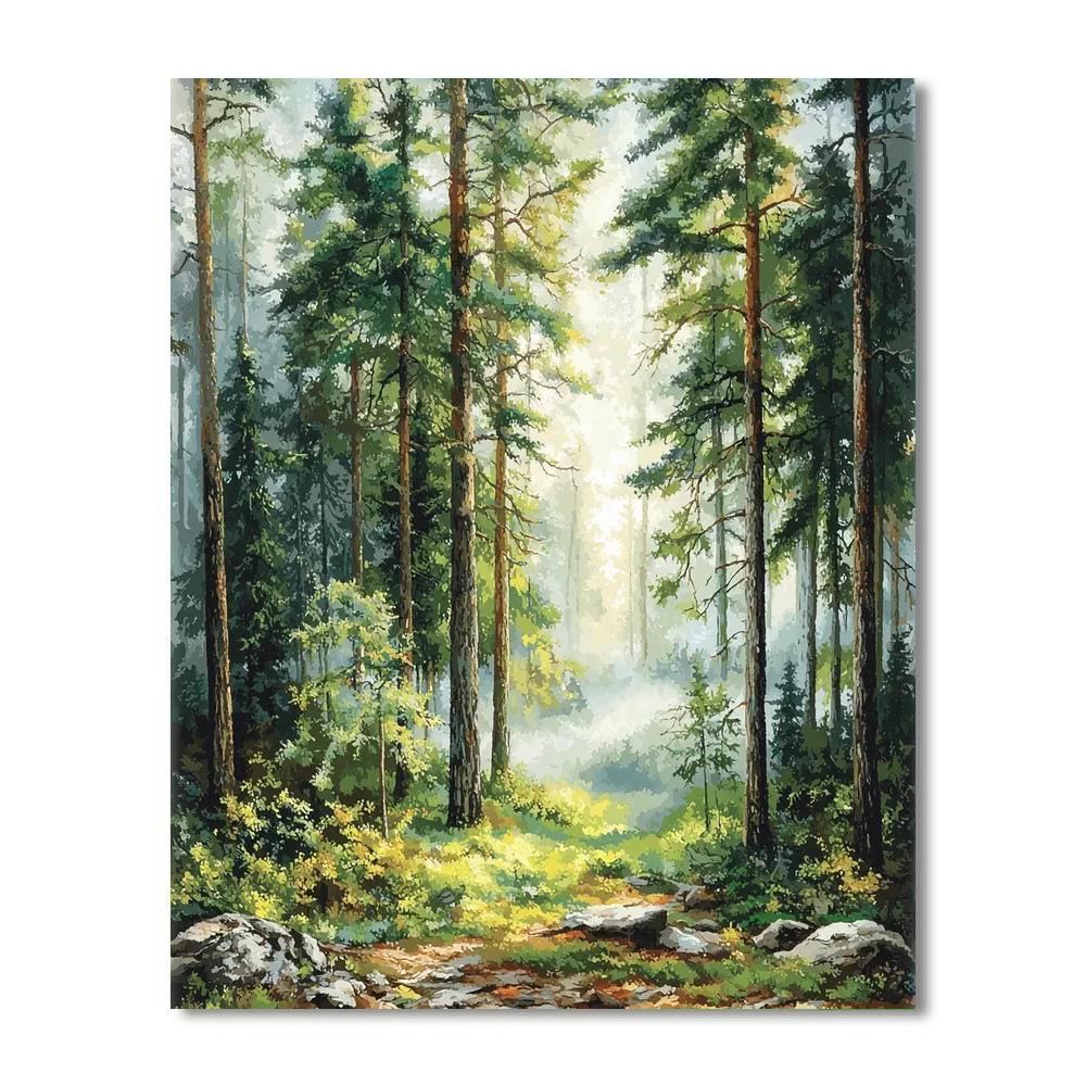 Caspar David Friedrich Inspired Forest Echoes  Painting By Numbers Kit