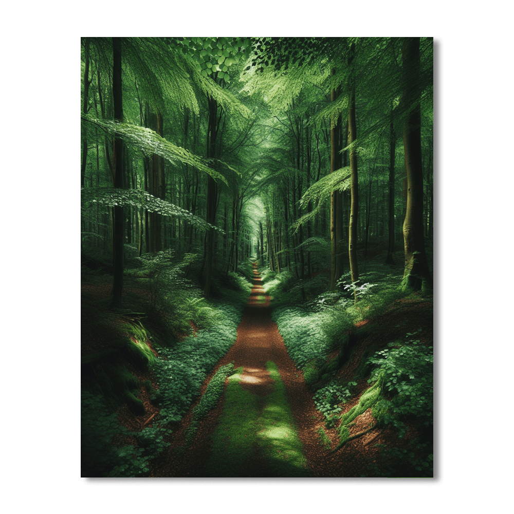 Secluded Forest Path Paint By Numbers