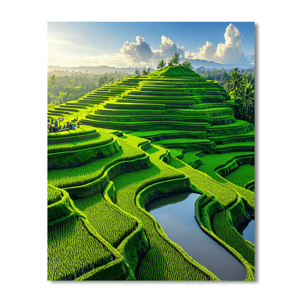 Bali Rice Terraces DIY Paint By Numbers
