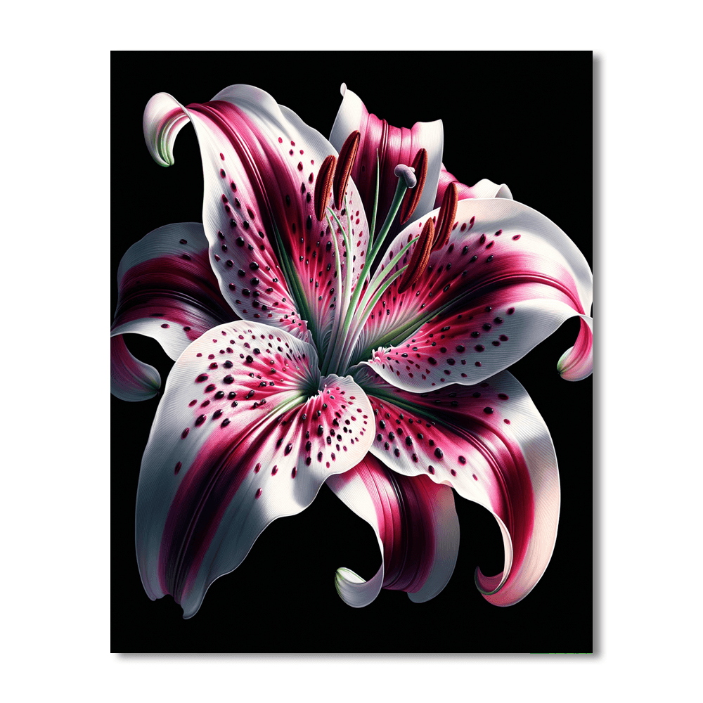 Enchanting Stargazer Lily Numbered Painting Kits