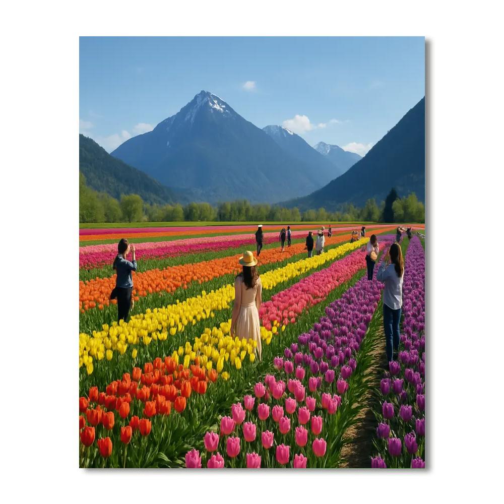 Fraser Valley Tulip Festival - Canada Painting By Numbers Kit