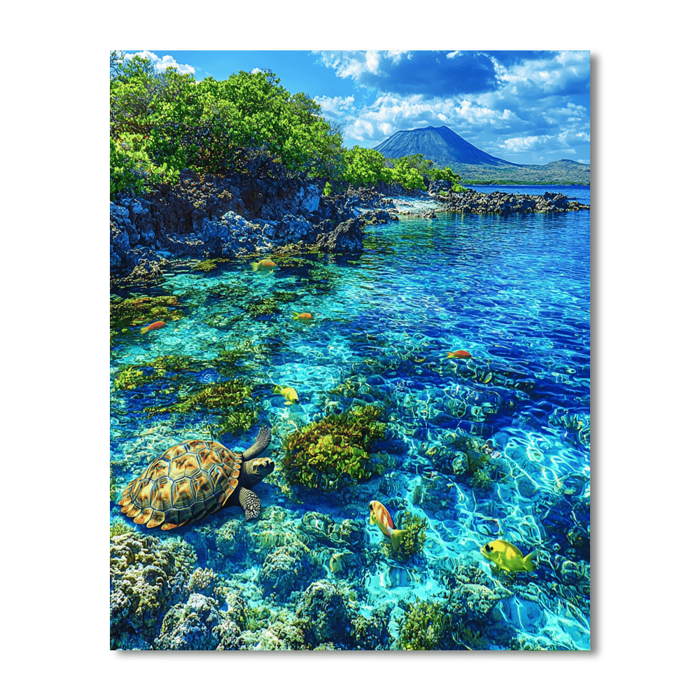 Galápagos Islands DIY Paint By Numbers