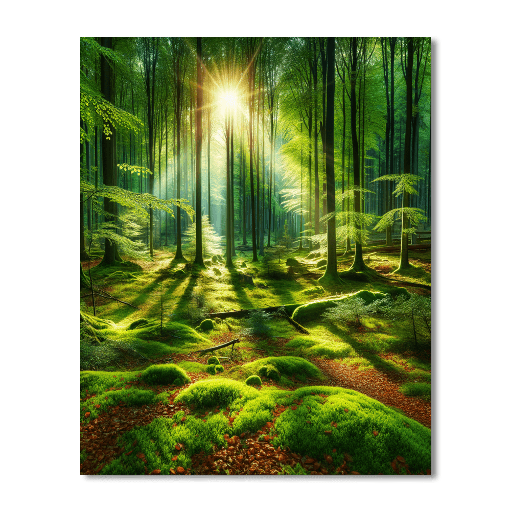 Forest Harmony DIY Paint By Numbers