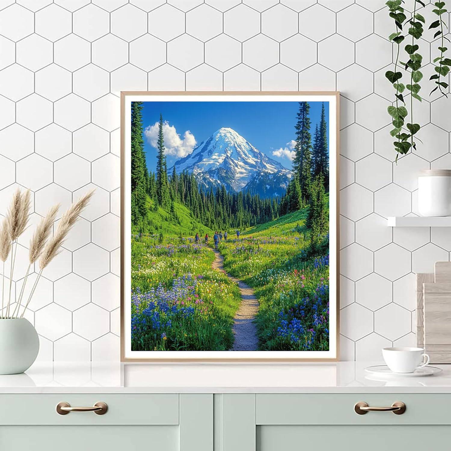 Mount Rainier National Park - Washington Paint By Number