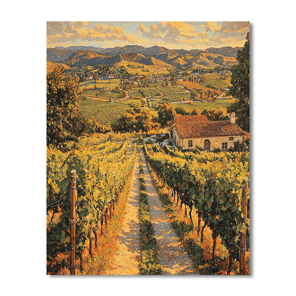 Napa Valley Vineyards - California Paint By Numbers