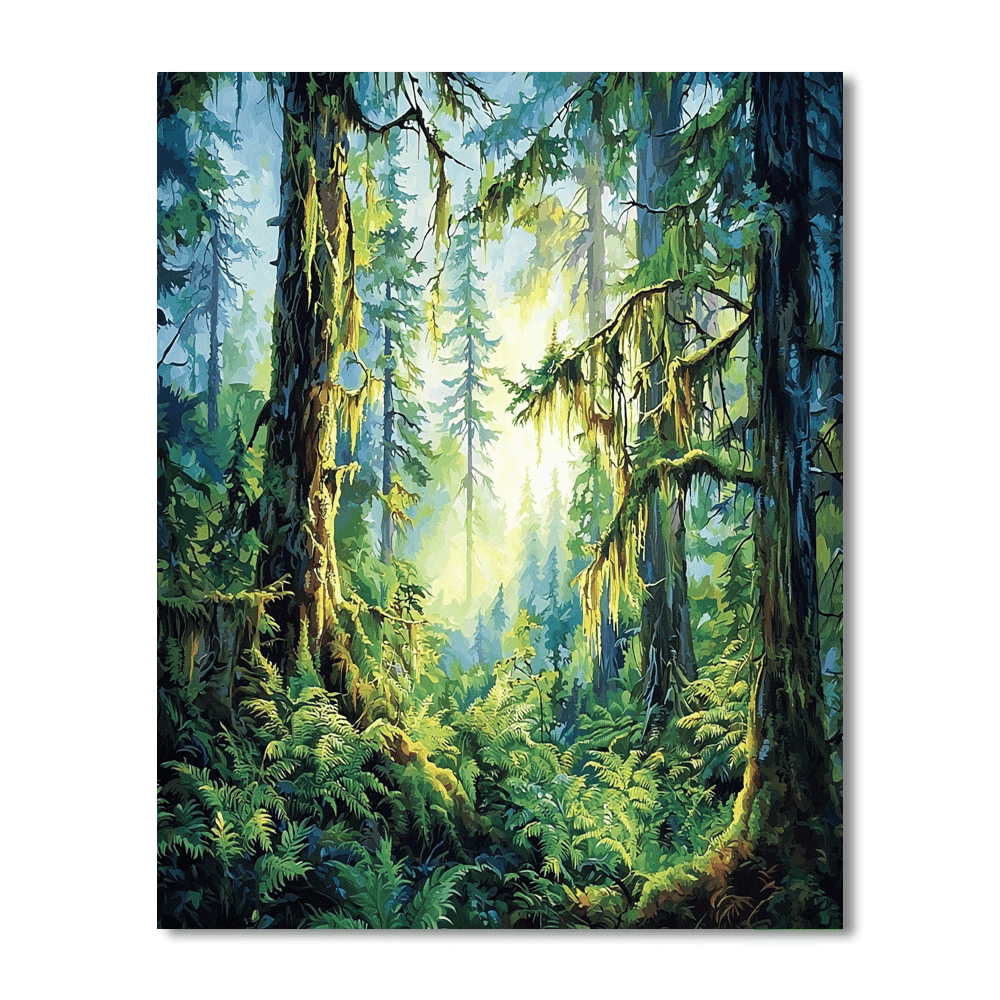 Hoh Rainforest - Washington Paint By Numbers