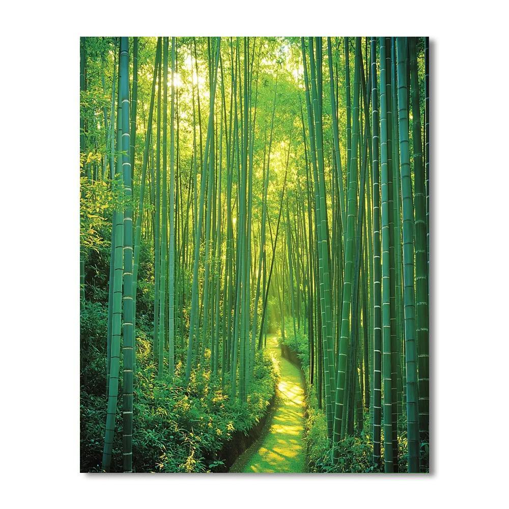 Kyoto Bamboo Forest - Japan Painting Number Kit