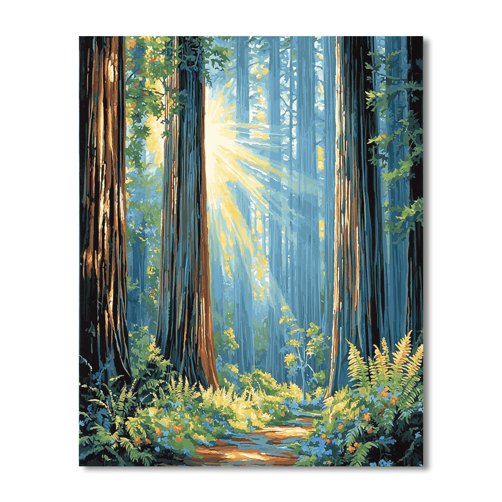 Redwood National Park - California Numbered Painting Kits