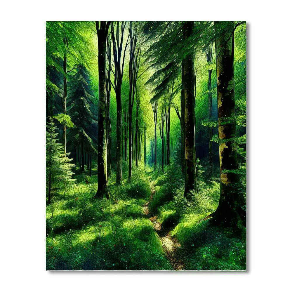 Forest Adventure Trail DIY Paint By Numbers
