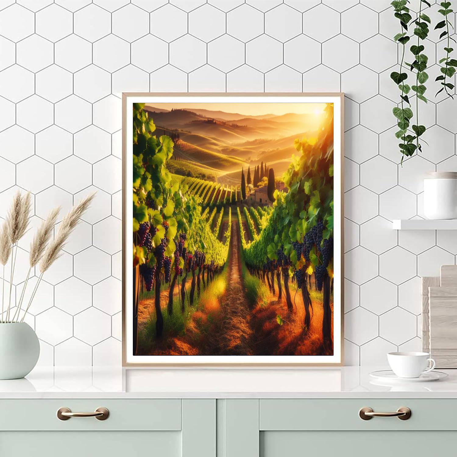 Tuscan Vineyard Afternoon Paint By Number