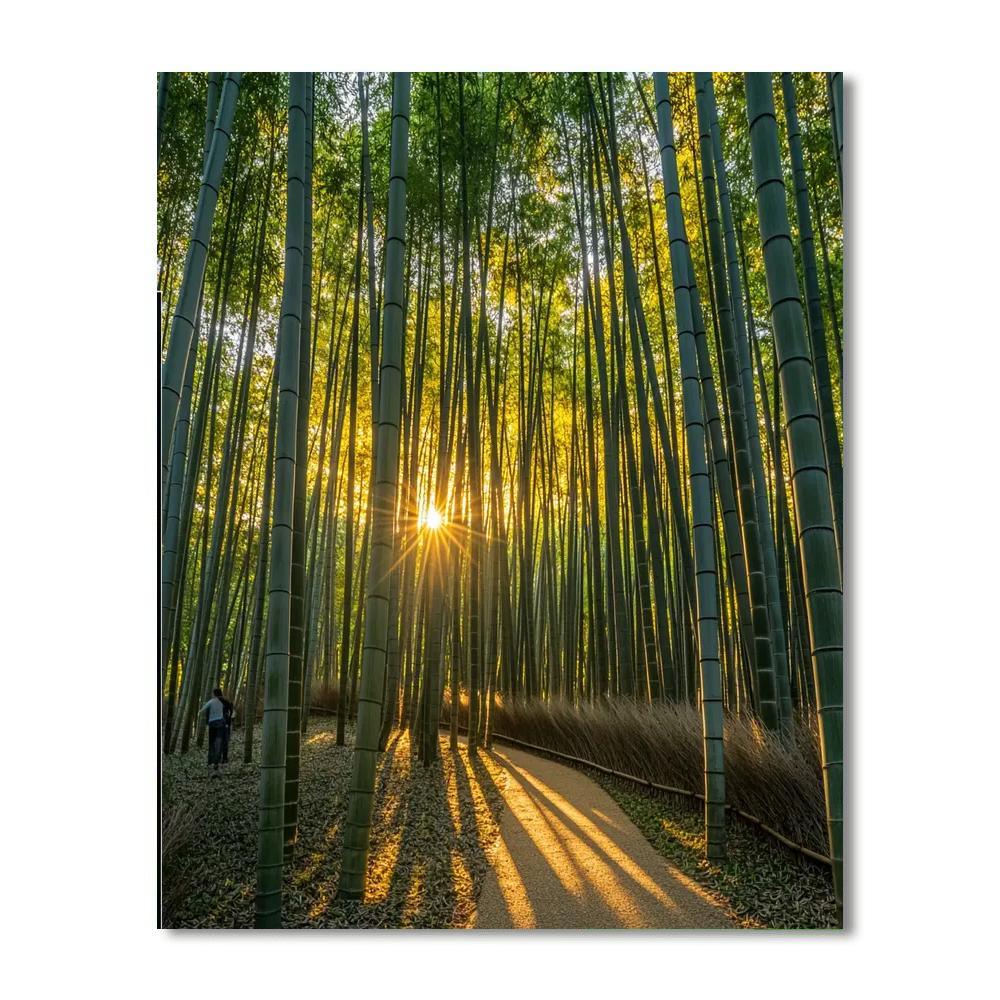 Kyoto Bamboo Grove - Japan Paint By Number